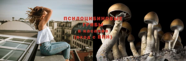 хмурый Гусев