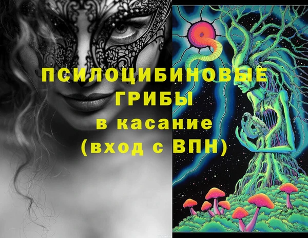 хмурый Гусев