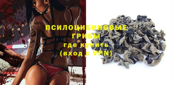 хмурый Гусев