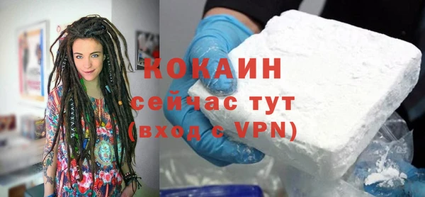 хмурый Гусев
