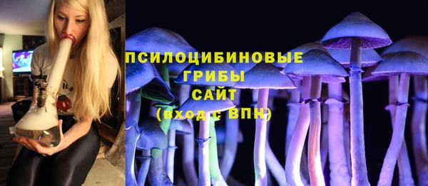 хмурый Гусев
