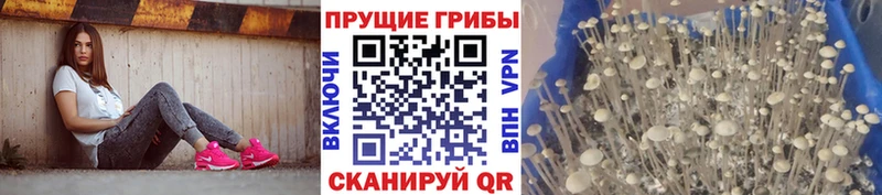 Галлюциногенные грибы ЛСД  Купить закладки  Морозовск 